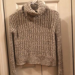 Free people turtle neck sweater